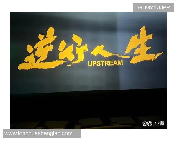 张昊：从平凡到卓越的奋斗历程与人生启示